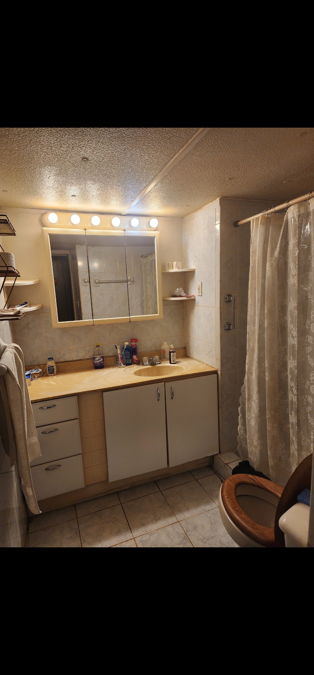 55*Gated Community Cheapest Lakefront Moblehome living 4